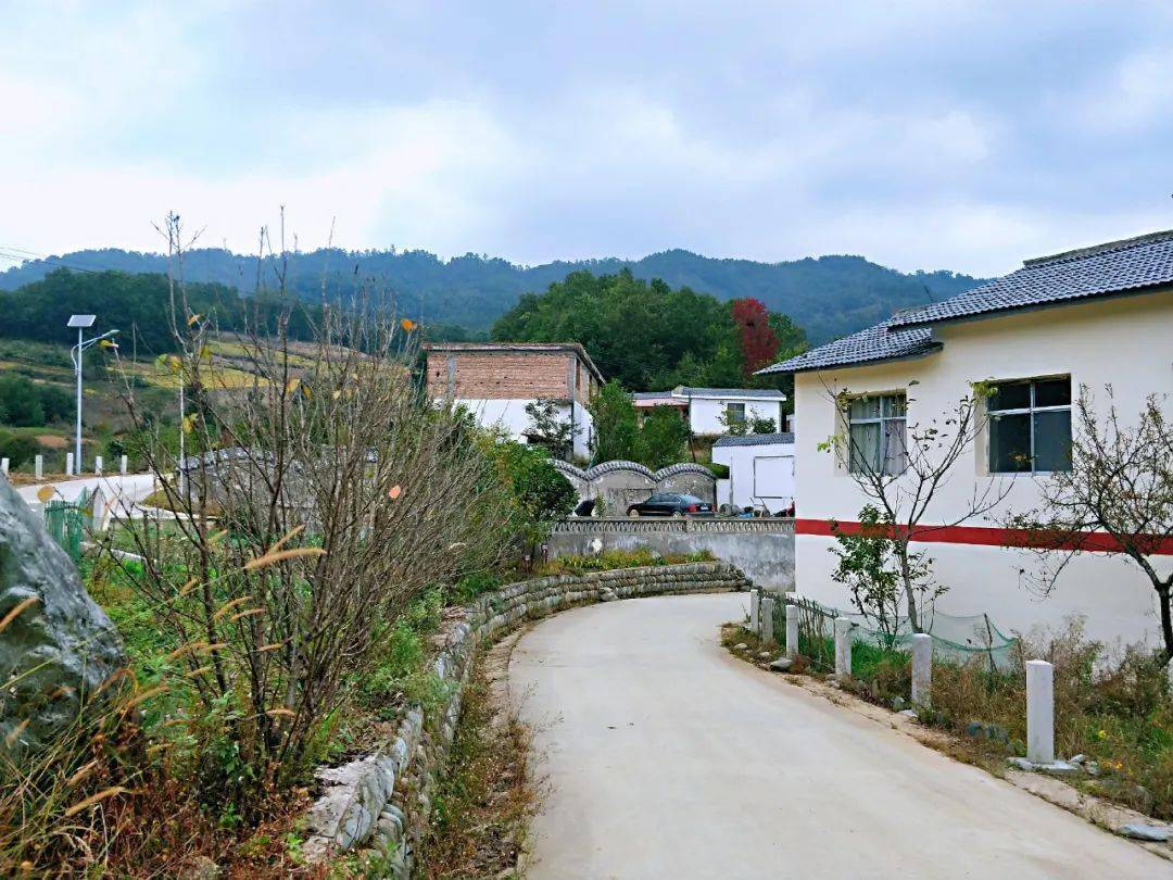 老村旧貌换新颜从一个乡村华丽转身看康县美丽乡村建设二