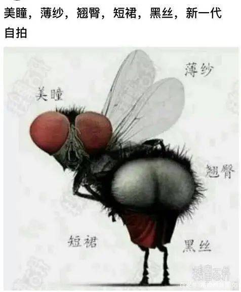 搞笑照片笑死人逗比图片