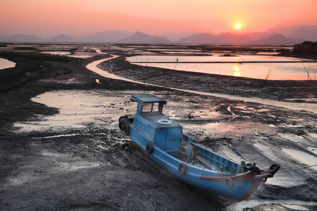 每日一景|坞根落日_坞根镇