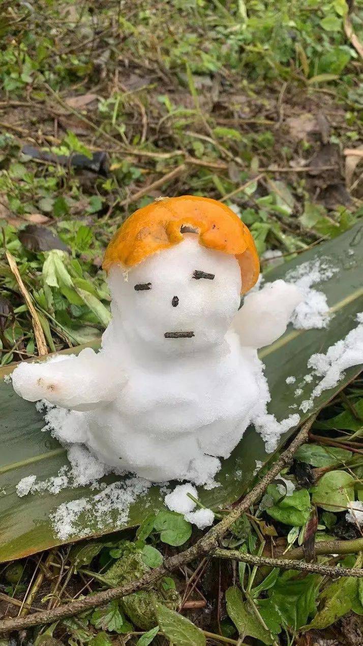 下!雪!啦! 堆 雪 人 篇来看看资中人是咋个玩雪的你说阔不阔以嘛?