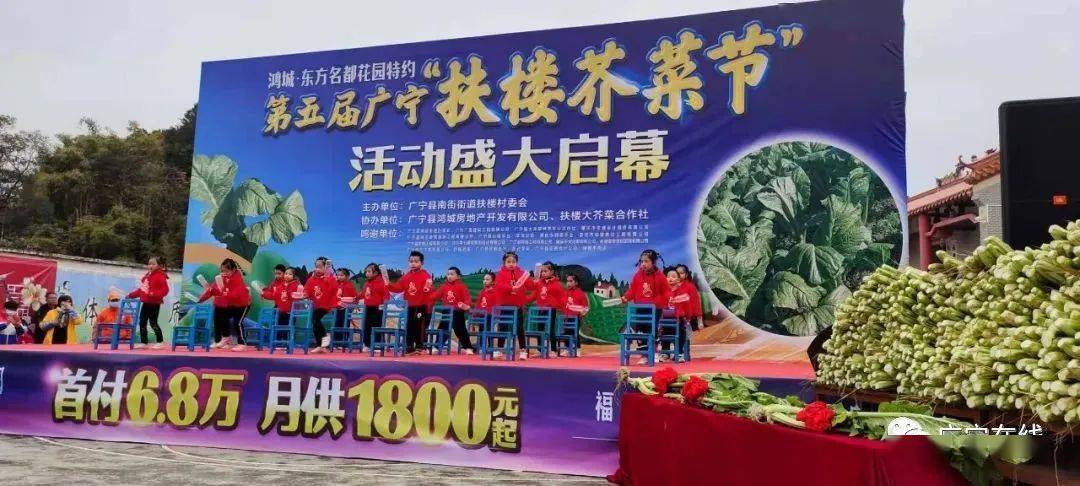 广宁扶楼芥菜节一颗芥菜卖到6800元