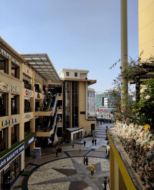 冬游松江 | 择一晴日,去松江这条一日游线路上尝人间烟火,感受松江