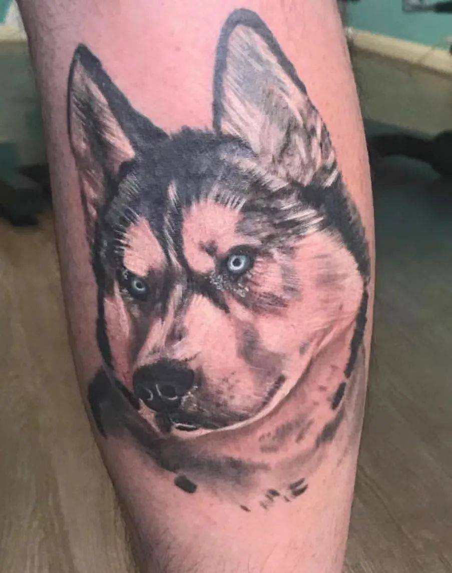 傻傻惹人爱的二哈哈士奇纹身