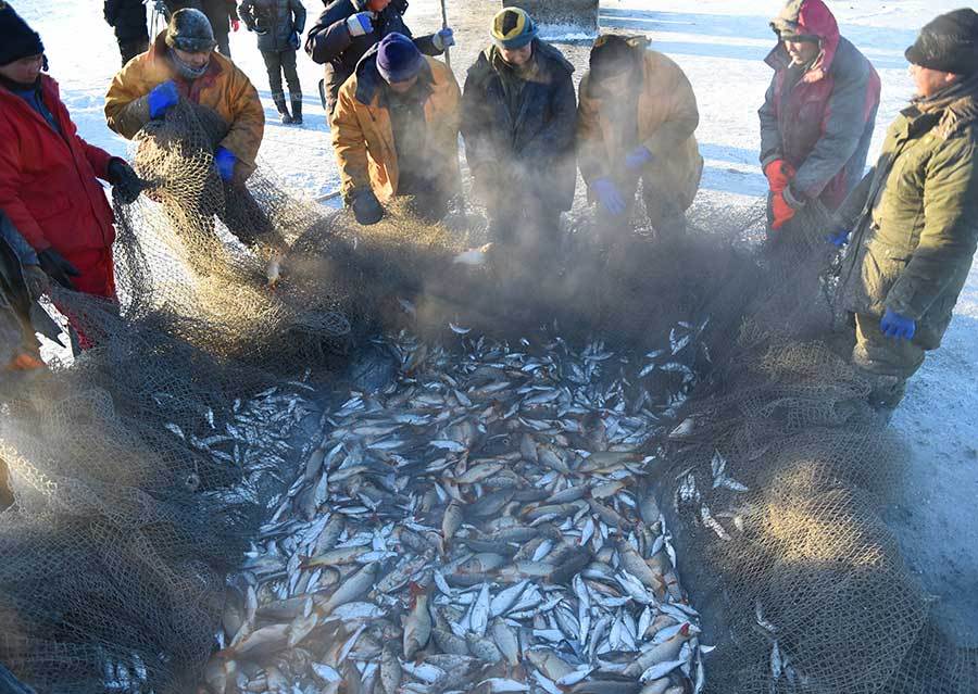 呼倫湖40年的寶藏漁場中國下一個賽湖