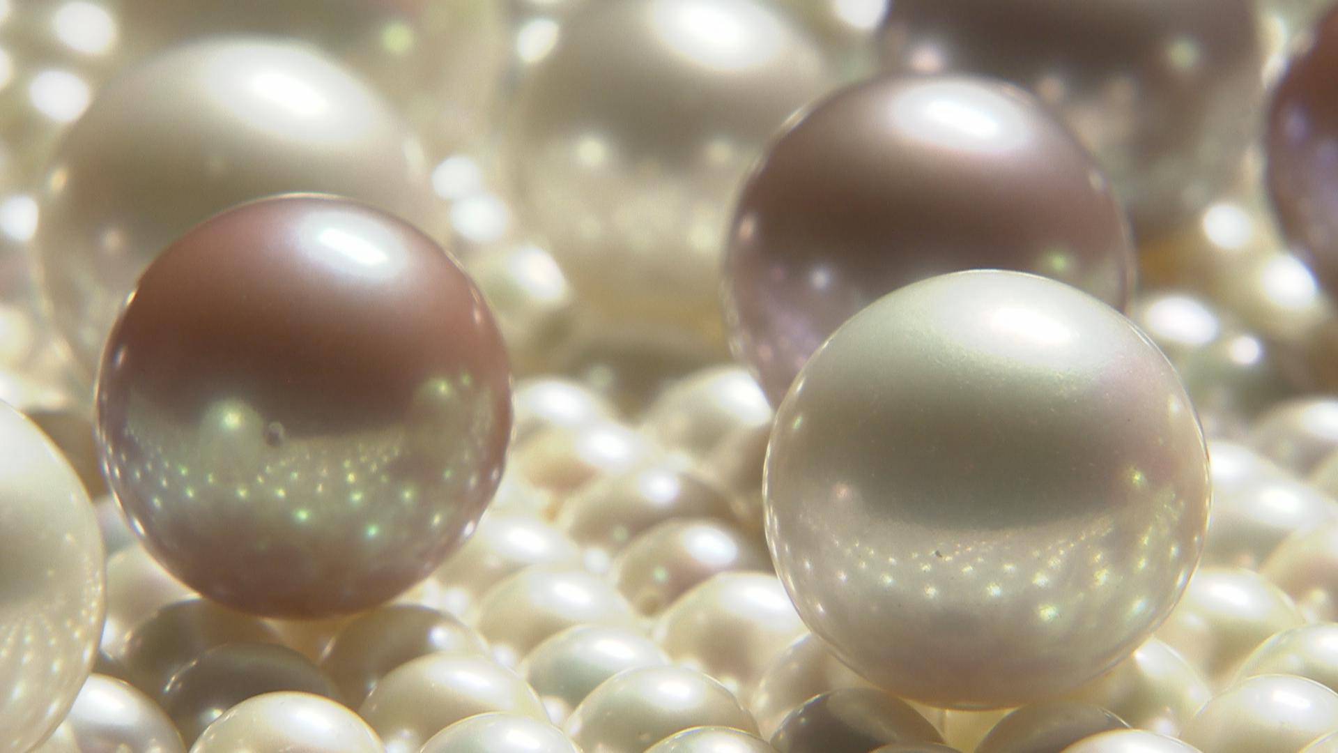 一颗珍珠如何成为璀璨珠宝?这座小镇带你了解全过程_手机搜狐网