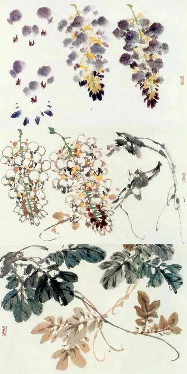 萧朗花卉课徒画稿_画法