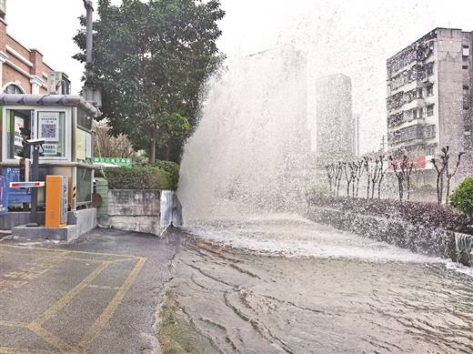 相隔仅20天 广雅路接连两次自来水管爆管