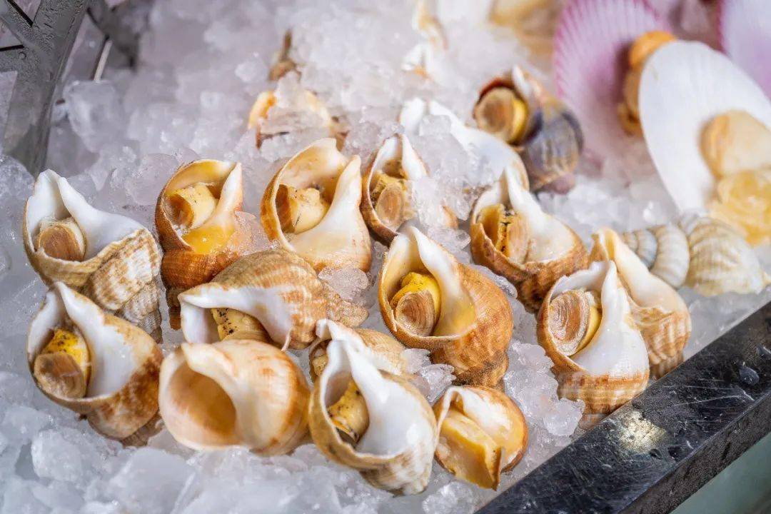 盛宴自助午餐全面恢复低至118元位