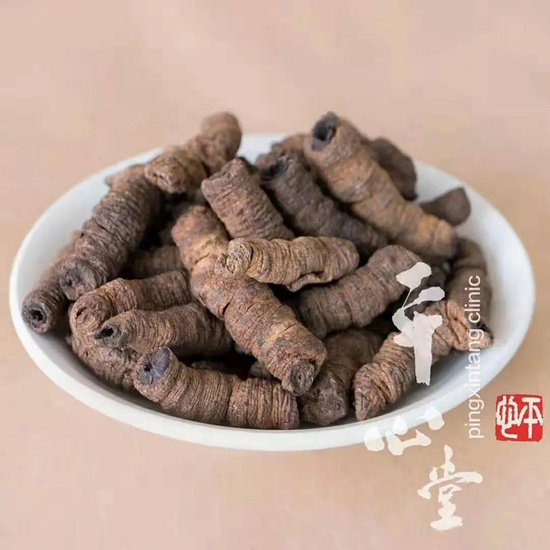 【每日一味药】巴戟天