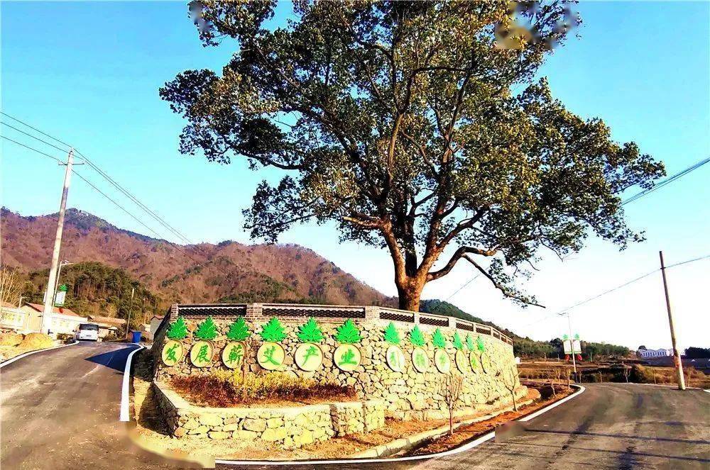 美丽蜕变高颜值华丽来袭漕河镇铁山村美丽乡村建设按下加速键