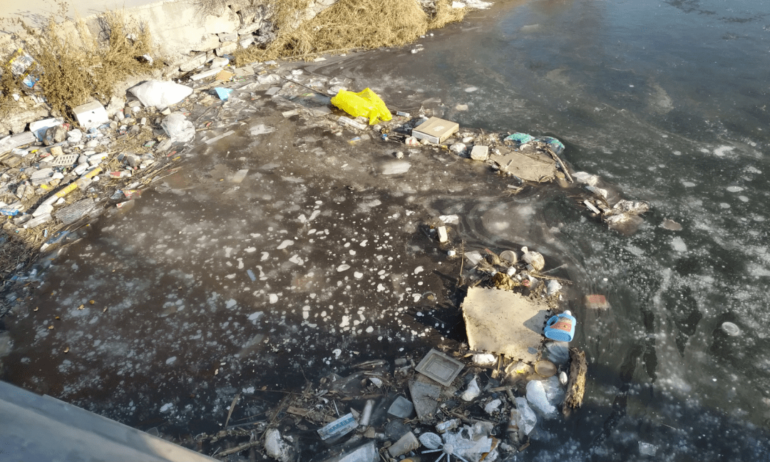 这么美,和上面的垃圾形成了鲜明对比!