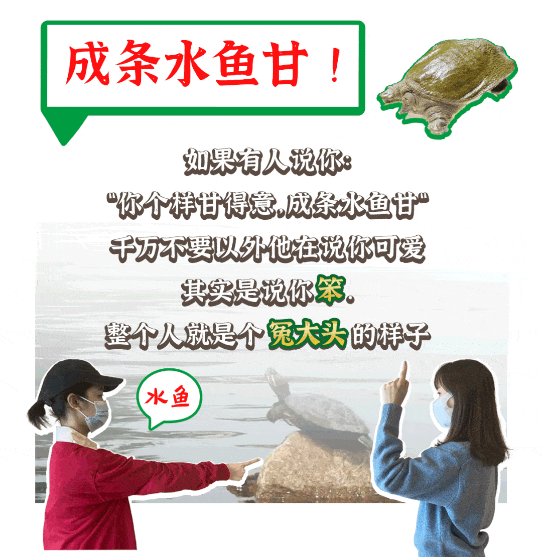 和广东人吵一次架你会发现  她们连骂人都是在说吃的 !  在广州吵