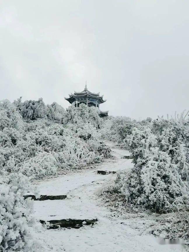 沾益珠江源雪景忽如一夜春风来千树万树梨花开