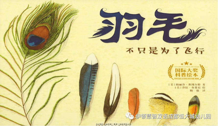 【伊顿教学】羽毛不只是为了飞行——casa3_绘本