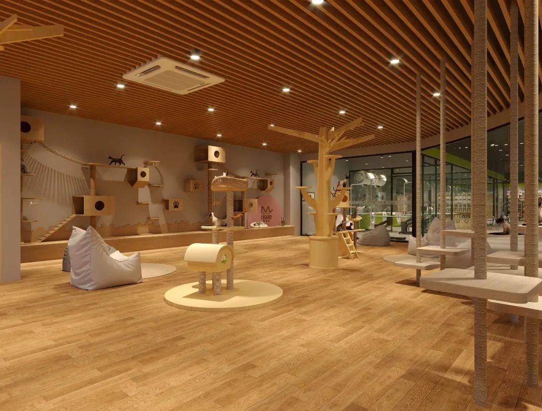 圣宠呼和浩特旗舰店盛大开业|时尚品质引领宠物店新高度