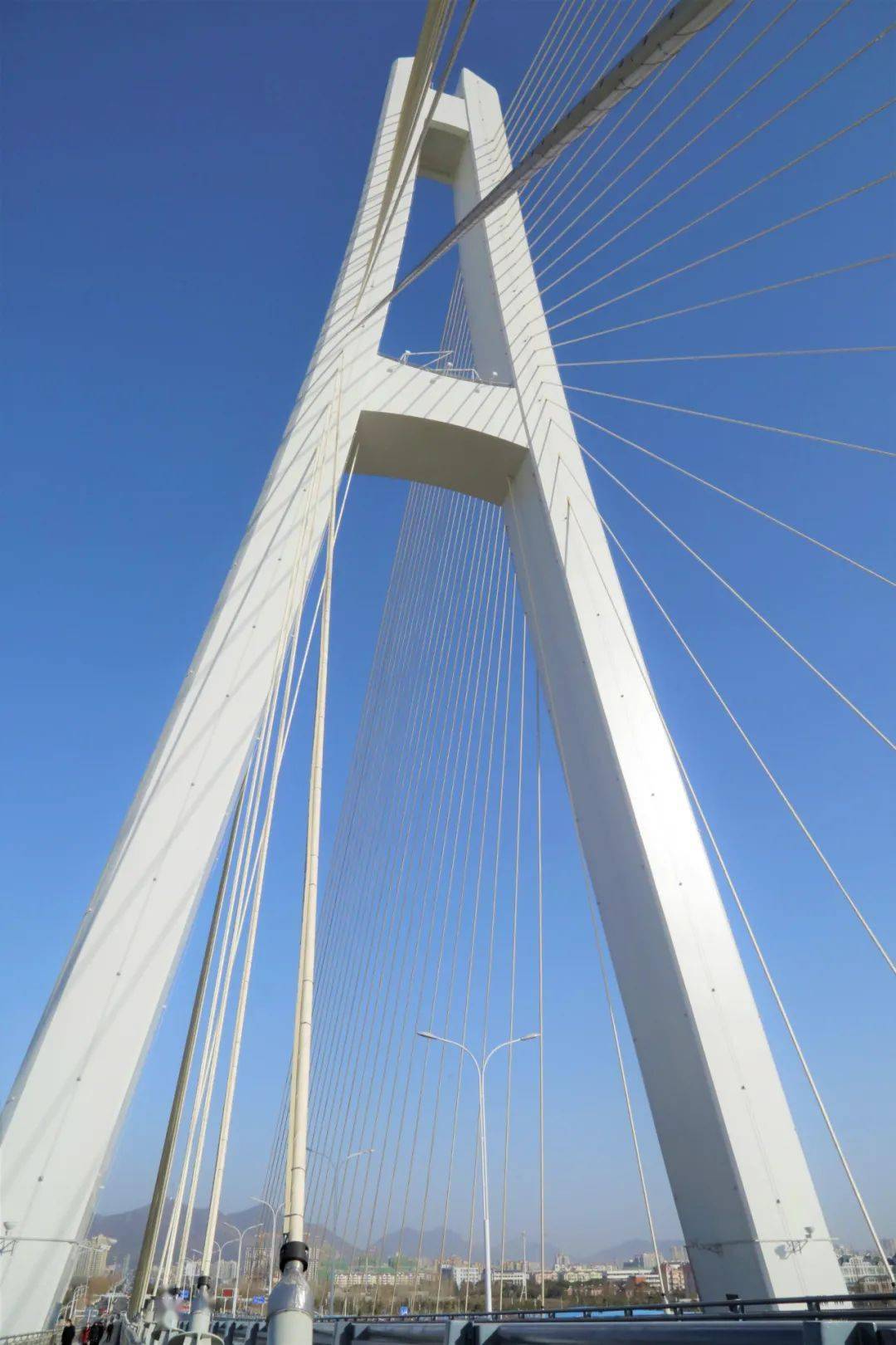 一桥飞架南北巢湖大桥今天正式通车啦你去打卡了吗