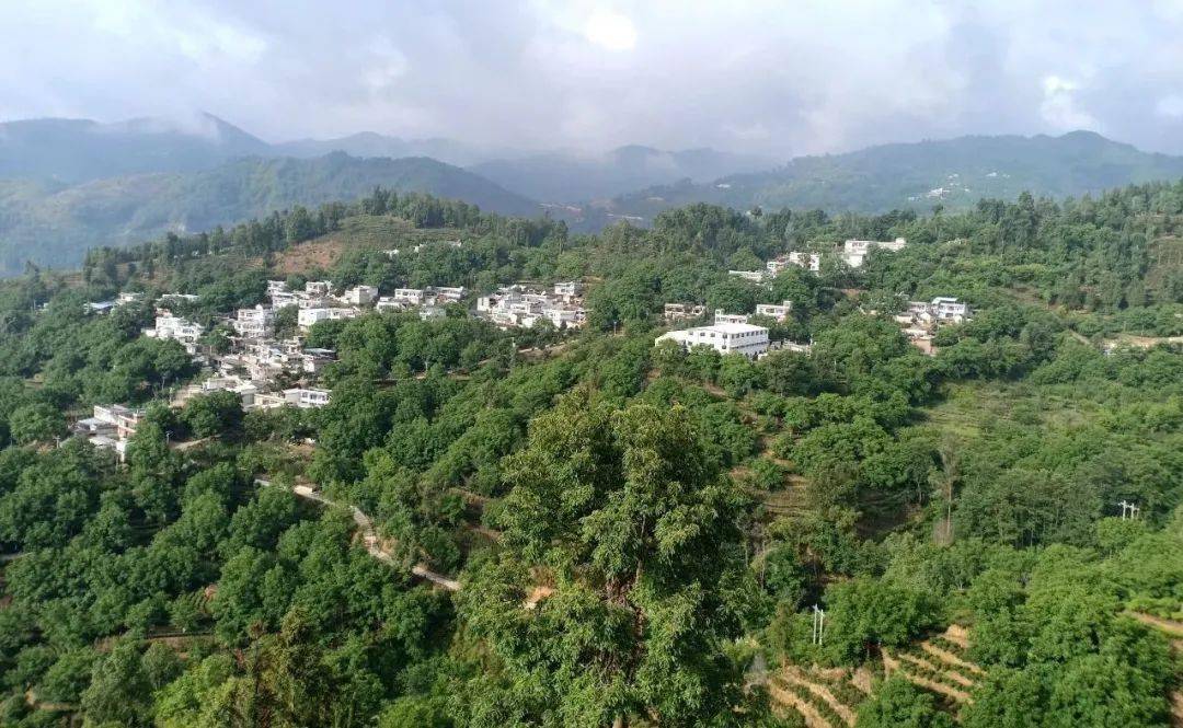 安石村村貌新年伊始,走进凤庆县凤山镇安石村,游客们乘坐着旅游观光