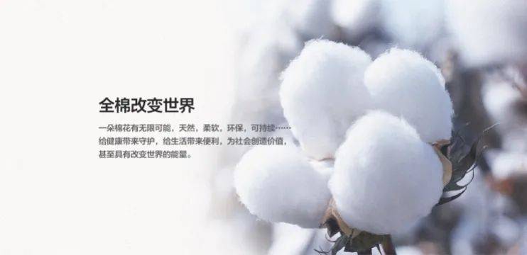 全棉时代三度翻车母公司去年却狂赚近40亿