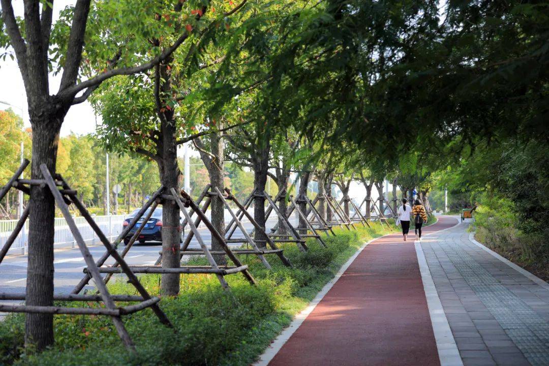 步道,自行车道穿行在景观设施中颇具海洋特色的"街头公园"洪钟大道