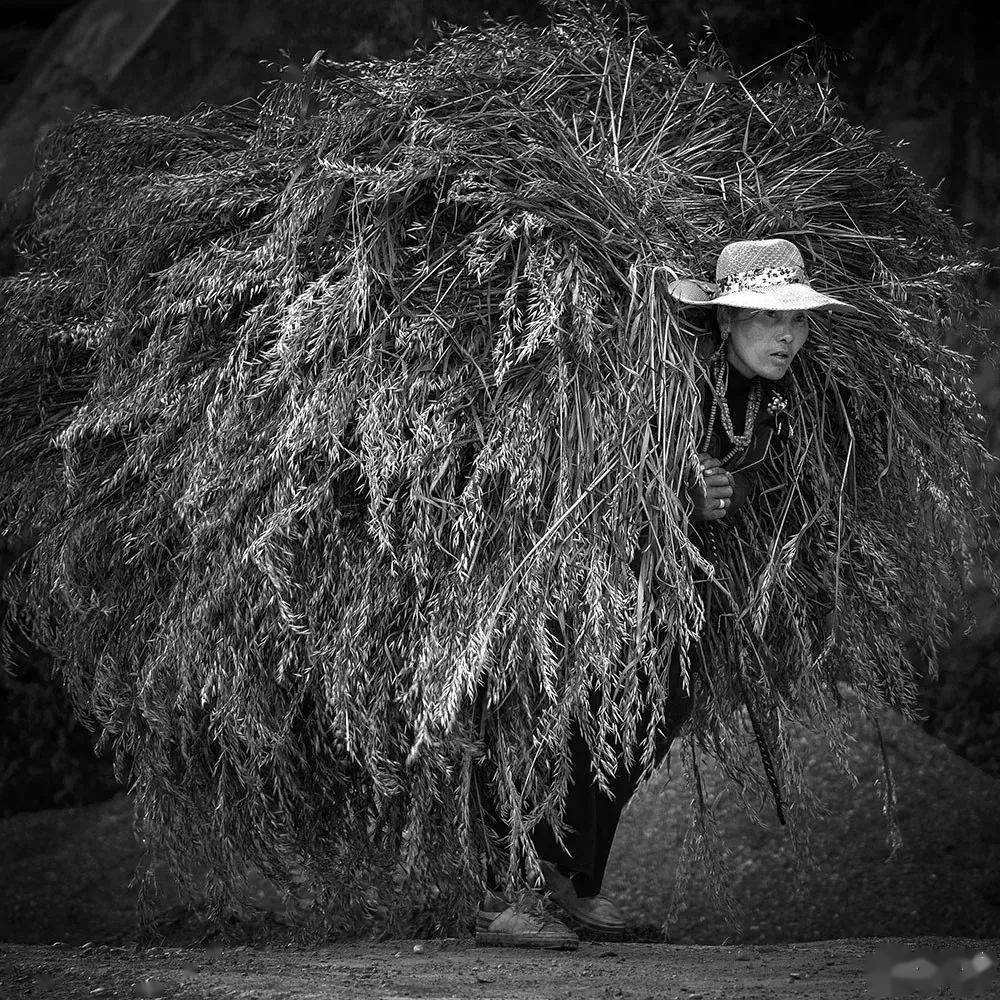 盘点2020纪实摄影优秀作品集锦