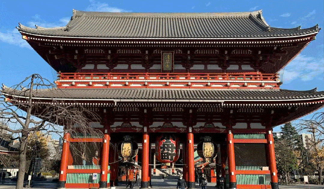 推广线下课回归我的快乐又回来啦