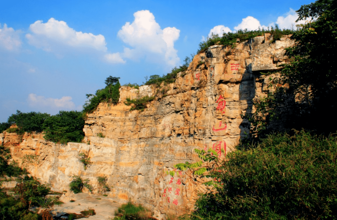 鱼山,位于东阿县城东南20公里处的黄河北岸.海拔82.1米,面积约80公顷.