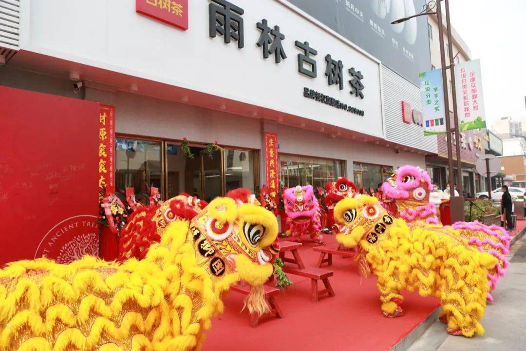藏茶之都,又一雨林旗舰店盛大开业!_古树茶