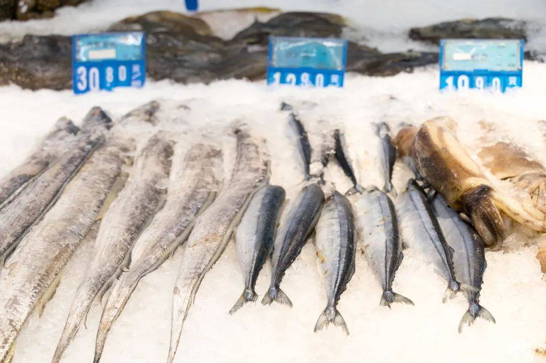 鱼多久刷新一下 3b253430d5e64ee18debd2340e5a6107.jpeg