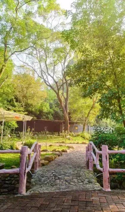 【重磅推荐】清远清新小华山汤泉度假村_活动