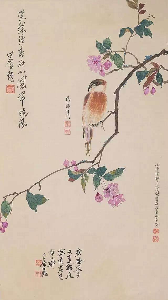 民国花鸟圣手谢月眉大饱眼福