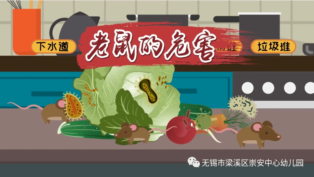 平安校园幼儿园开展灭鼠灭杀越冬蚊专项活动