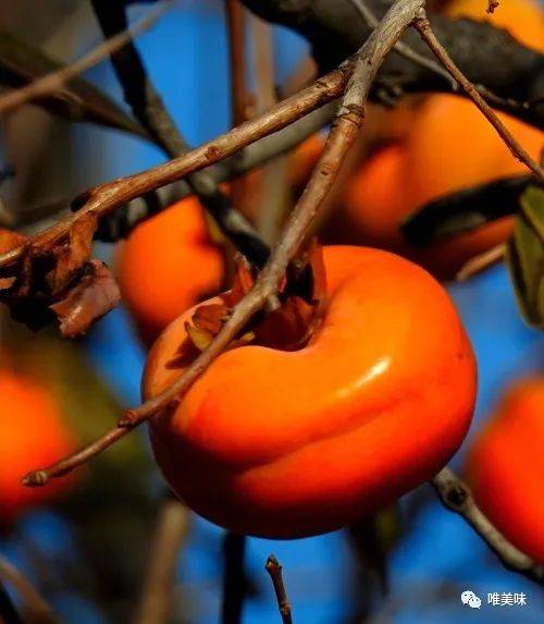 顶级老饕告诉你 甘甜冰酥赛过冰激凌的柿子到底是哪一种 秋果三杰 核桃 栗子 大盖柿 图片