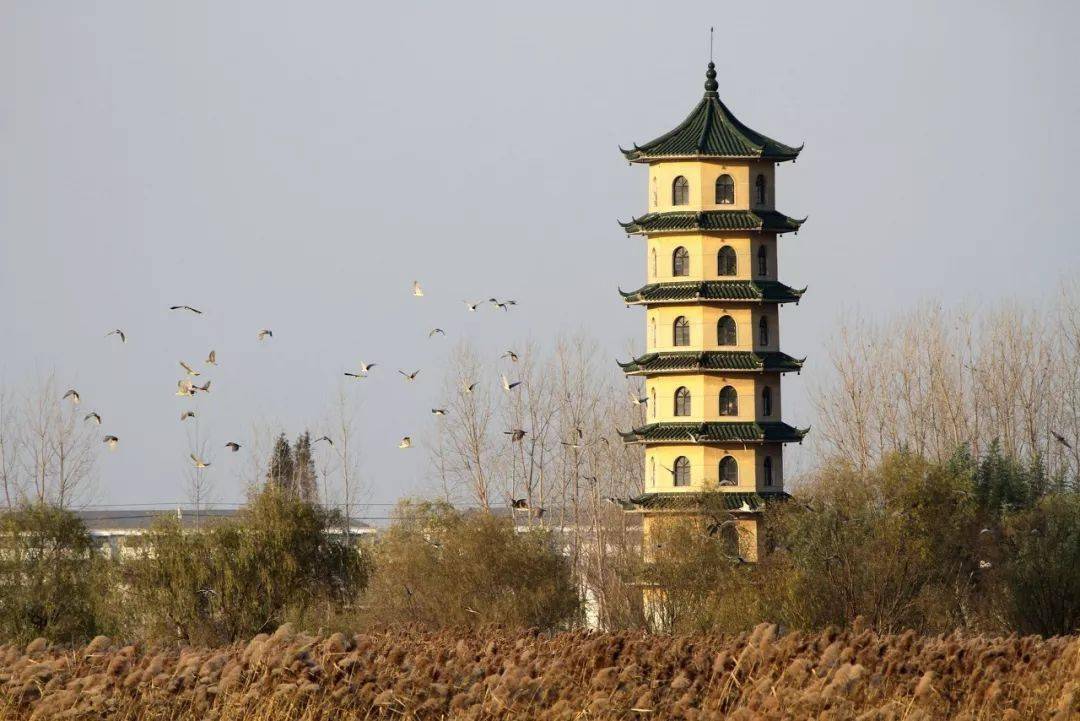 江苏这座千年"水乡泽国",终于藏不住了!