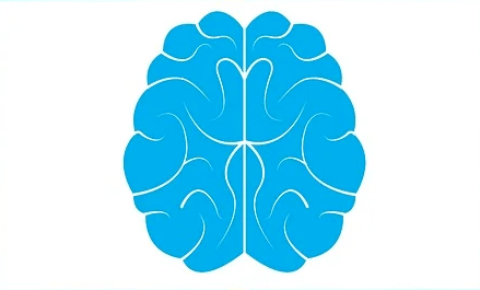 腦動靜脈畸形(brain arteriovenous malformation, bavm)又稱顱內動