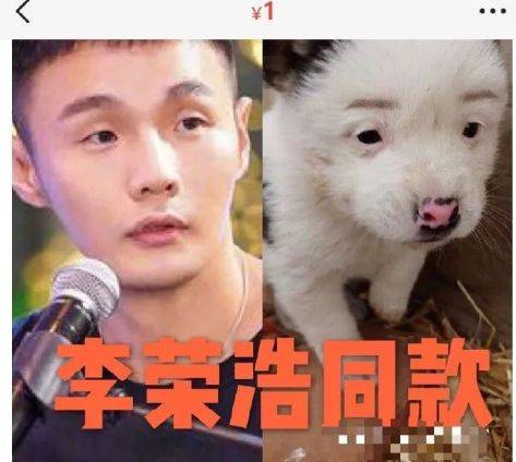 楊丞琳曬出一張照片引起全網爆笑：這是李榮浩的娃嗎？哈哈哈哈哈！ 萌趣萌寵 第9张