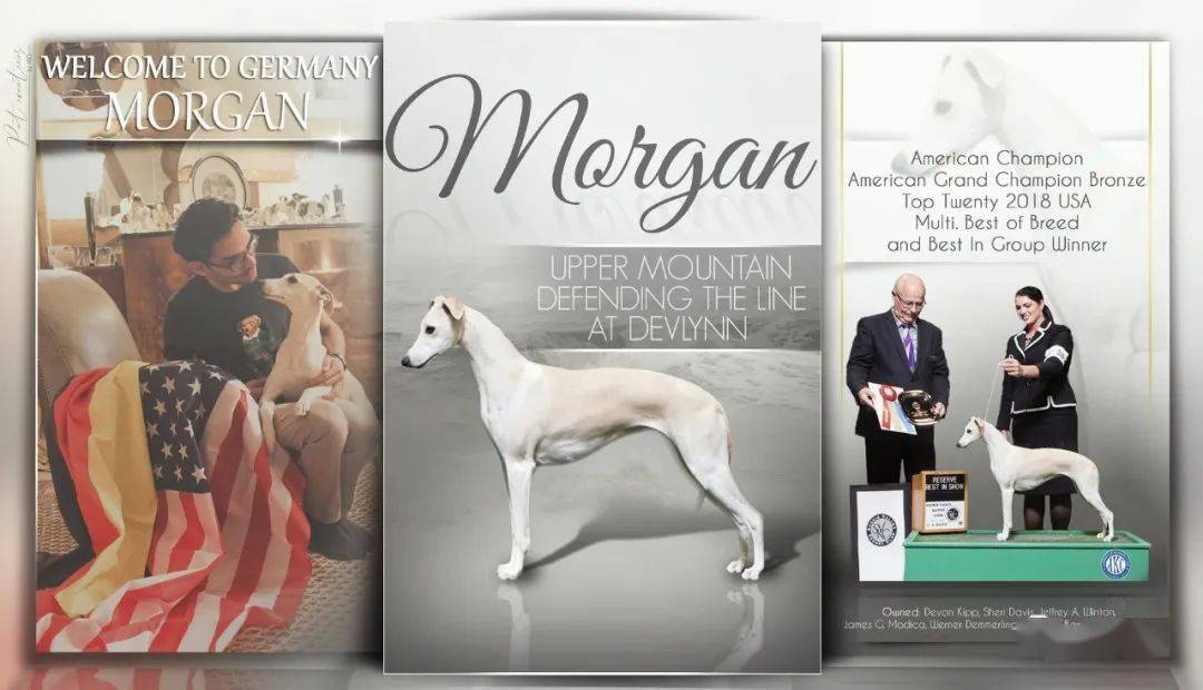 惠比特排名_惠比特(3)