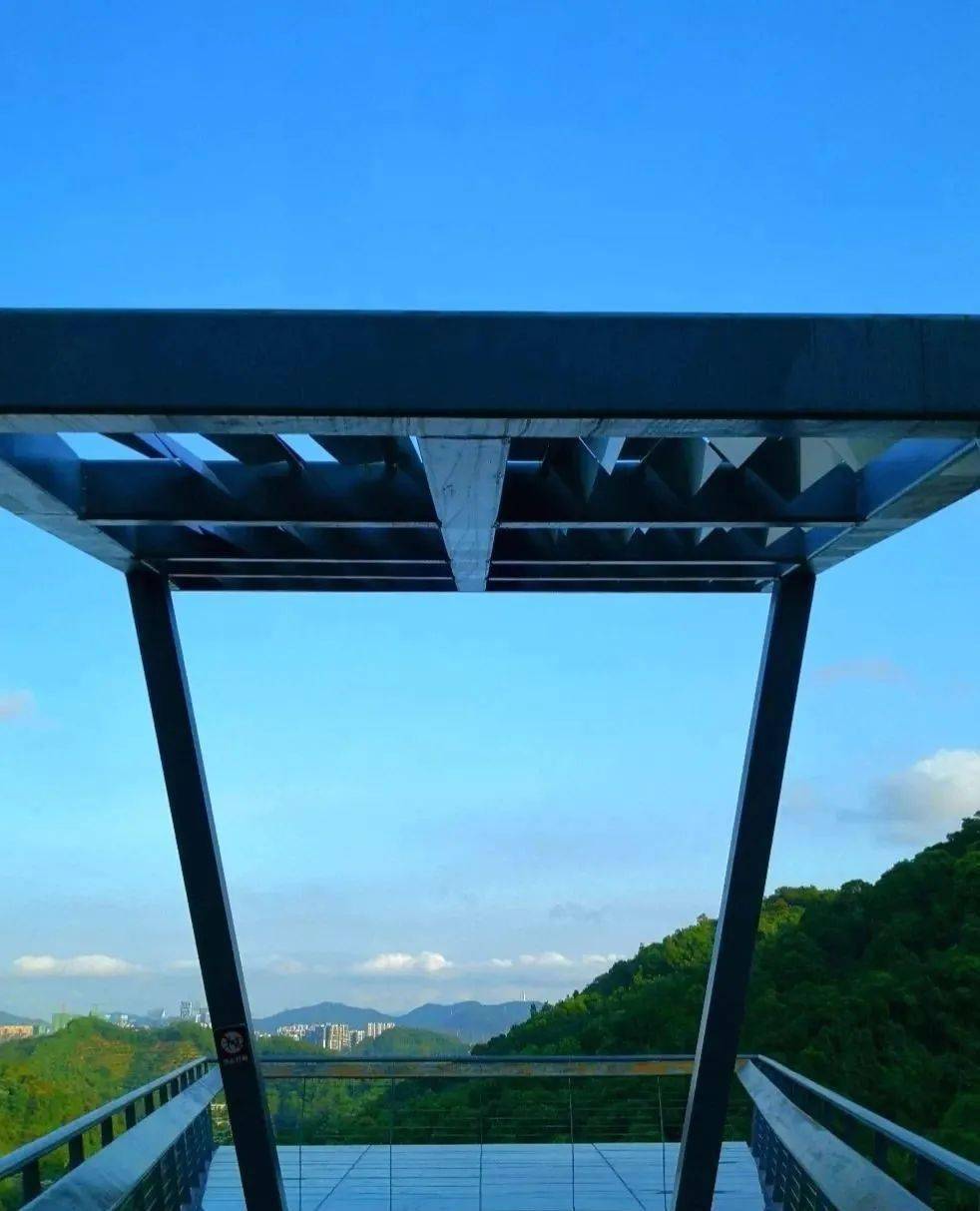 深圳光明农场 玻璃桥图片