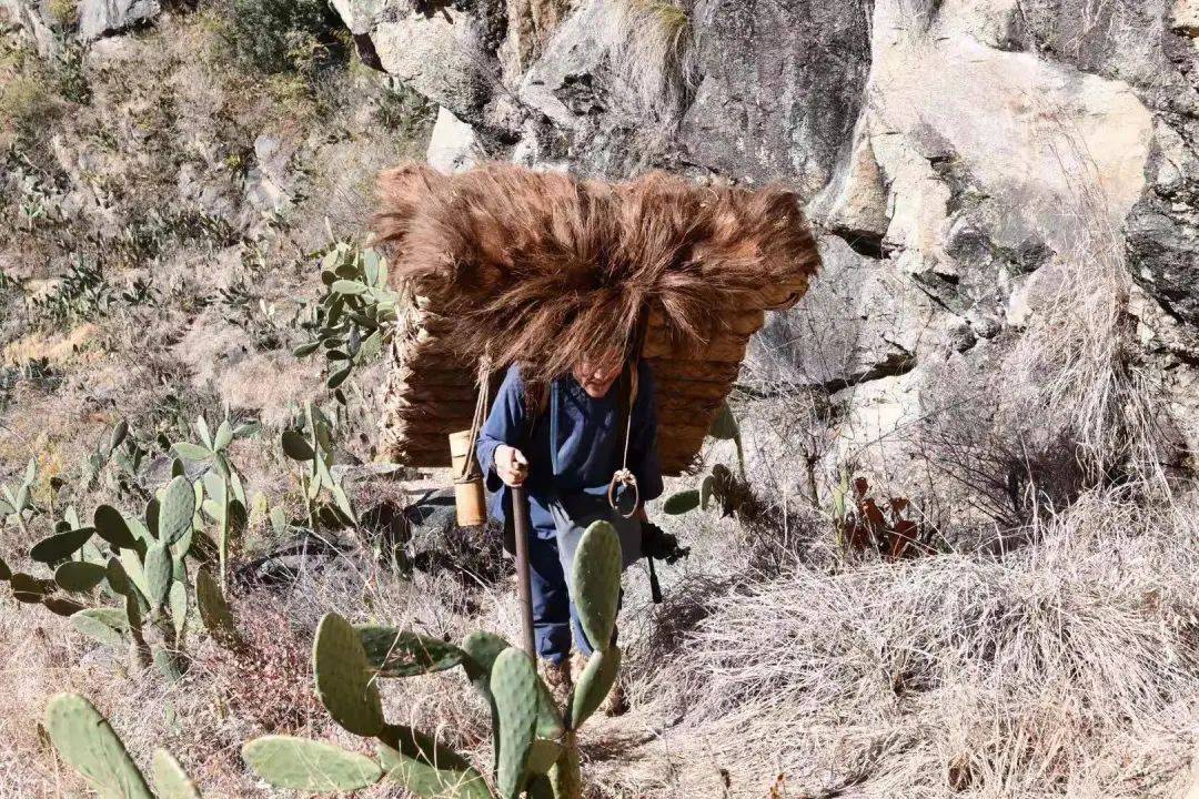 背二哥重走茶马古道在泸定等您