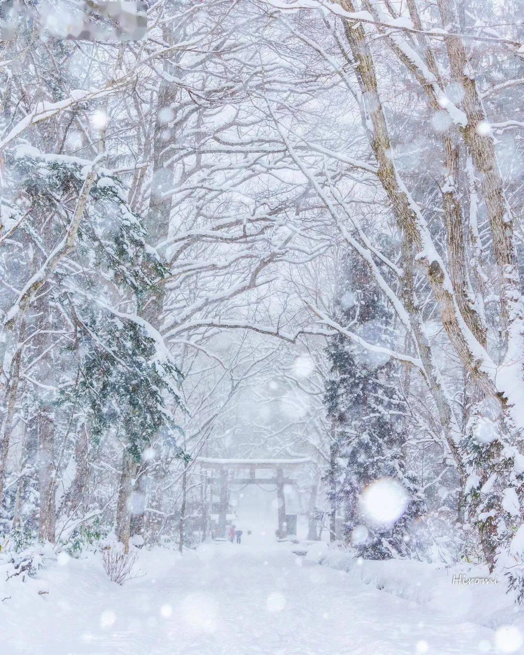 飘雪是冬天最美的时刻……