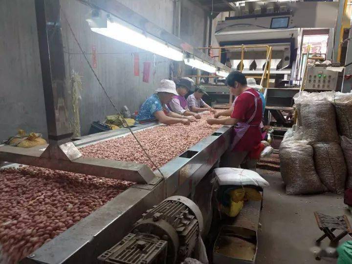 超级供应商「第4年」:山东滕州浩翔花生米加工厂(刘现伟)