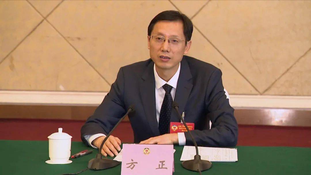 方正参加市政协四届四次会议联组讨论