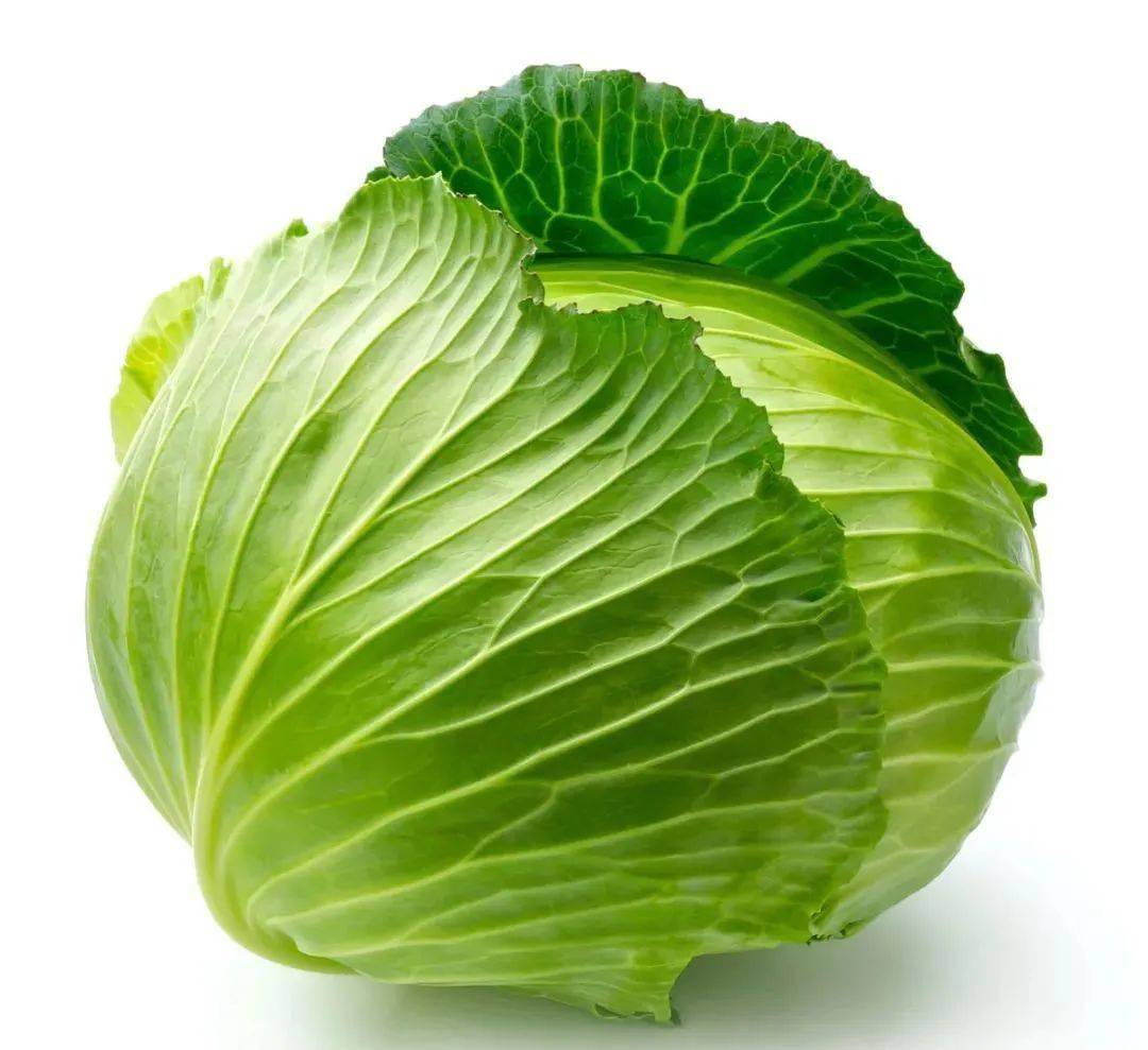 1ce2a96496344882b9e5c88cd05218af.jpeg