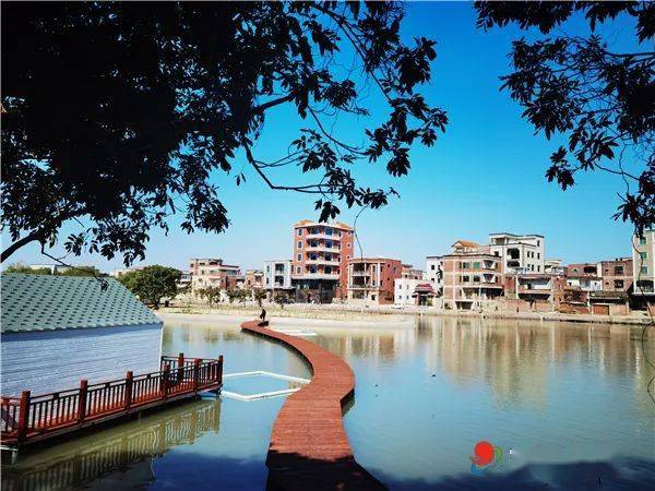 点赞吴川樟铺镇下村强化集聚产业链全力提振乡村振兴