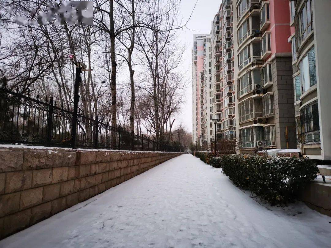 今年,昌平第一场雪"飞奔"来见你!_首班车