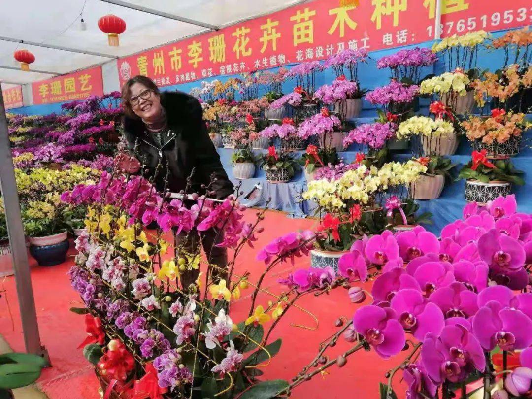 青州市位于山东半岛中部,花卉产业闻名遐迩,是农业增收和