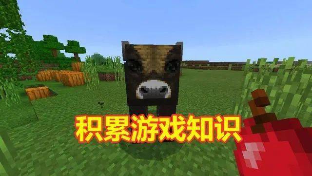 61ffea02f0cd4ccfac710f747c2b2ca4.jpeg