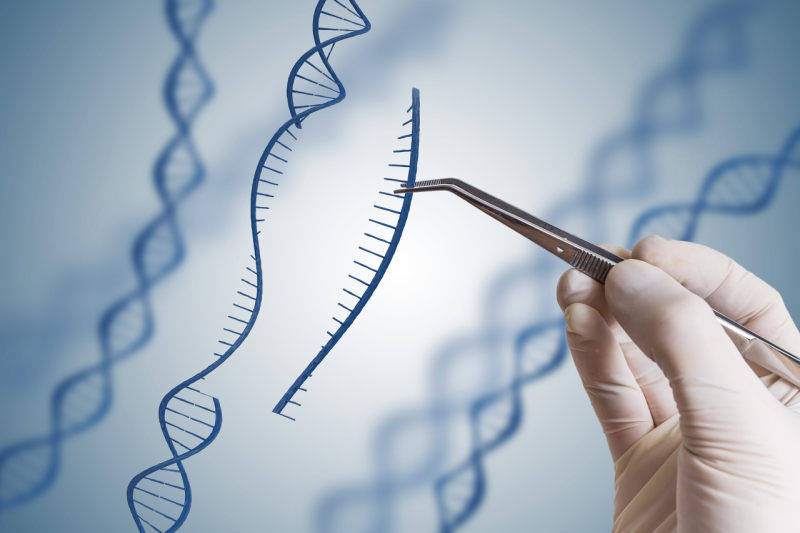 国内首个基因编辑疗法ind获批 博雅辑因即将开展i期临床 产品