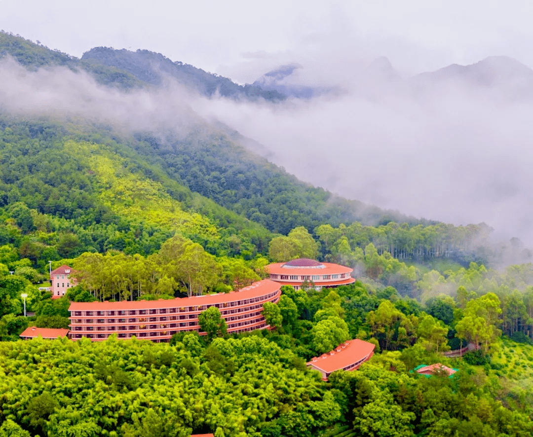 【世界客都梅州丨雁南飞围龙酒店】人均200  睡进5a景区,返璞归真!
