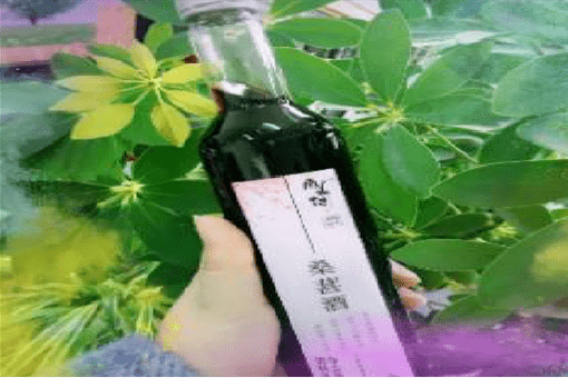 金色琴弦曲谱完整版