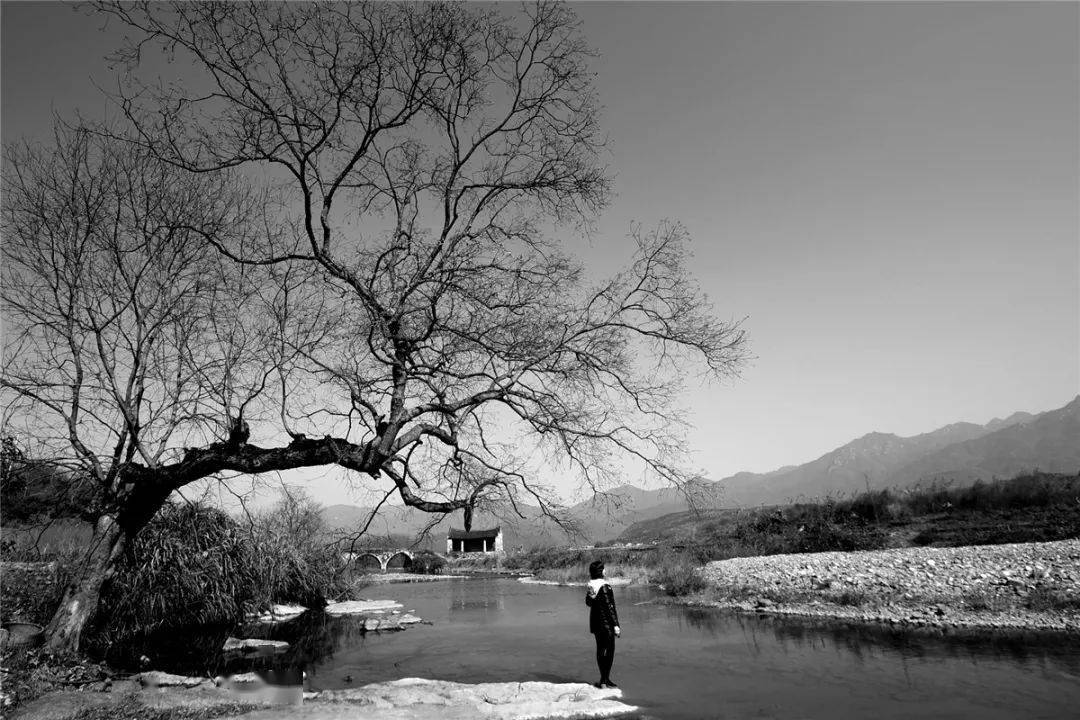 《乡愁》摄影:张有华《呈坎晒秋》 摄影:皇城往事摄影:大伟摄影:龚强